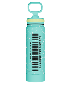 Actives Water Bottle With Straw Lid - customized