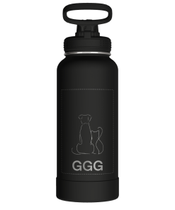 Actives Water Bottle With Spout Lid - customized