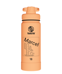 Actives Water Bottle With Spout Lid - customized