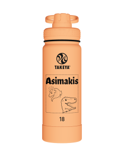 Actives Water Bottle With Spout Lid - customized