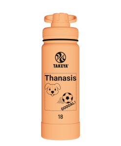 Actives Water Bottle With Spout Lid - customized