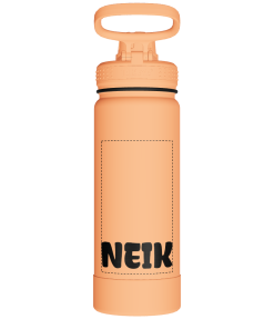 Actives Water Bottle With Spout Lid - customized